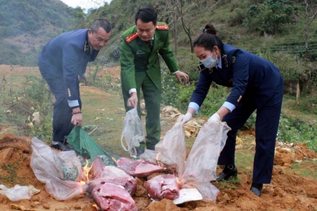 Thu giữ 120kg thịt trâu đông lạnh không rõ nguồn gốc