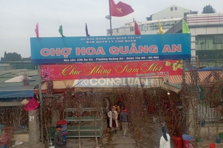 Xu hướng chơi hoa Tết Quý Mão có gì khác biệt?