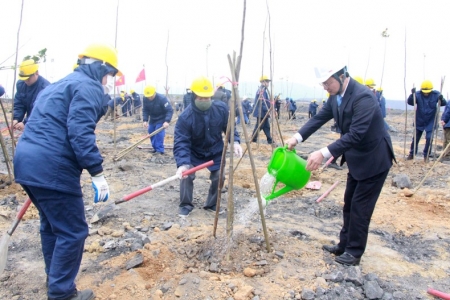 Quảng Ninh phấn đấu trồng 12.000 ha rừng năm 2023