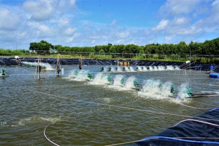 Cà Mau phê duyệt kế hoạch sử dụng đất huyện Đàm Dơi năm 2023