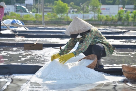 Giá muối ở Quảng Ngãi tăng kỷ lục, diêm dân không còn muối để bán