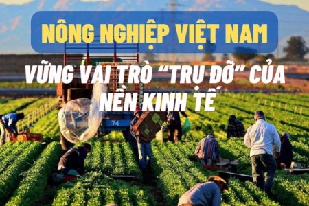 Ngành nông nghiệp vững vai trò ‘bệ đỡ’ của nền kinh tế