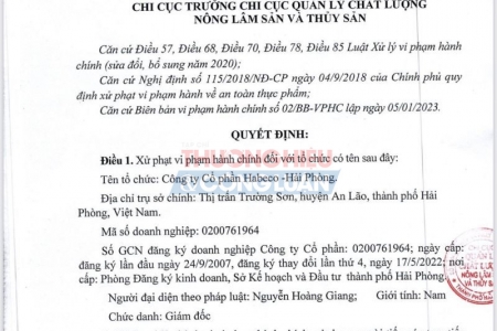 Hải Phòng ban hành quy chế phối hợp trong thi hành pháp luật về xử lý vi phạm hành chính