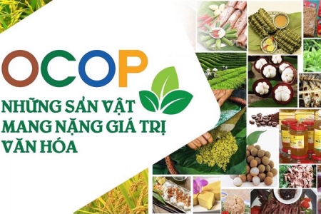 Chương trình OCOP đã đạt được kết quả nổi bật với 8.867 sản phẩm OCOP