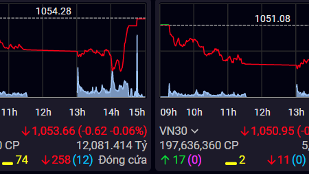 VN-Index giảm nhẹ 0,62 điểm, dòng tiền bắt đấy hoạt động tích cực