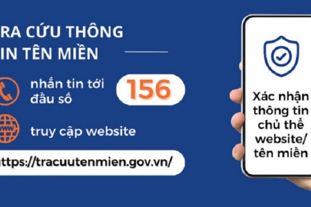 Sử dụng đầu số 156 để tiếp nhận, xử lý yêu cầu tra cứu thông tin tên miền