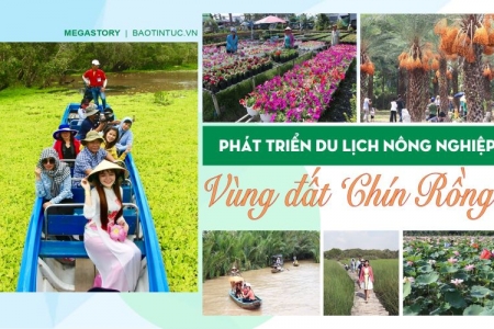 Đẩy mạnh tiêu thụ, quảng bá thương hiệu cho nông sản vùng Đồng bằng sông Cửu Long vào siêu thị