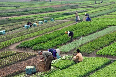 Năm nhiệm vụ và giải pháp hoàn thiện chính sách, nâng cao hiệu quả quản lý và sử dụng đất