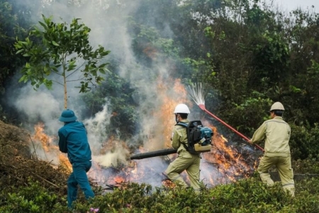 Kon Tum tăng cường kiểm tra công tác phòng cháy chữa cháy rừng, xử lý nghiêm các trường hợp vi phạm