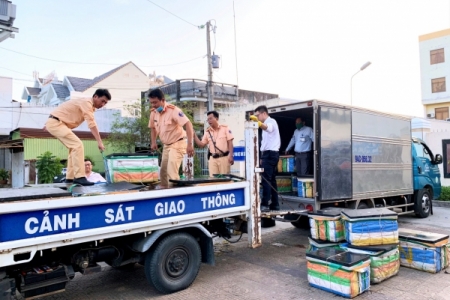 Phát hiện 600 kg tôm chứa tạp chất agar trên đường đi tiêu thụ