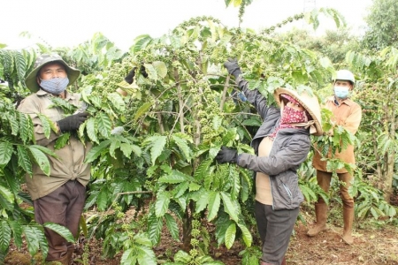 Gia Lai tích cực chuyển đổi số trong xây dựng nông thôn mới