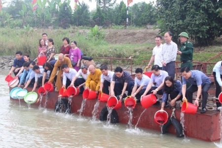 Thanh Hoá thả cá giống tái tạo nguồn lợi thủy sản trên sông Mã