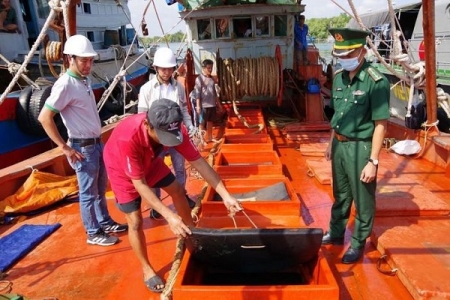 Bắt giữ tàu vận chuyển khoảng 100.000 lít dầu DO không rõ nguồn gốc