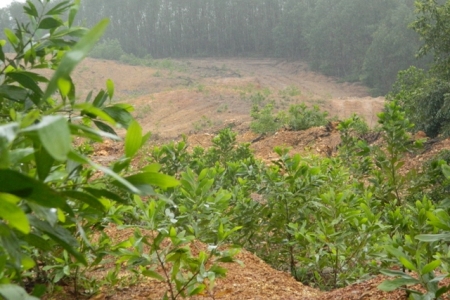 Phó chủ tịch Thừa Thiên Huế: Cương quyết rút giấy phép khai thác khoáng sản ảnh hưởng đến môi trường vả người dân