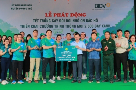 BIDV trồng cây xanh tại Lai Châu