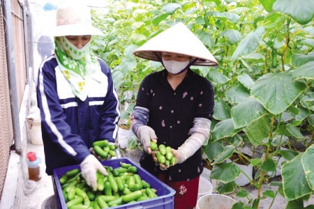 Bắc Ninh tăng cường đảm bảo an toàn thực phẩm, nâng cao chất lượng nông lâm thủy sản