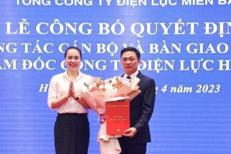 Công ty Điện lực Hà Tĩnh có giám đốc mới