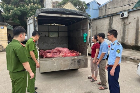 QLTT Hưng Yên ngăn chặn 230 kg thịt lợn bốc mùi hôi thối trên đường đi tiêu thụ