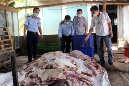 Kịp thời ngăn chặn hơn 1,7 tấn thịt heo bốc mùi hôi thối chuẩn bị đưa tiêu thụ