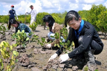 ADB công bố Quỹ đổi mới tăng cường tài trợ hàng tỷ USD chống biến đổi khí hậu