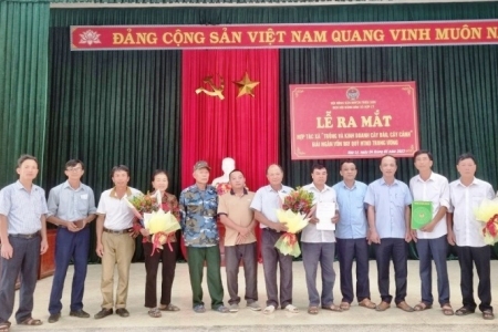 Thanh Hoá: Ra mắt Hợp tác xã trồng và kinh doanh cây đào, cây cảnh