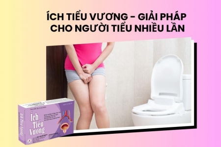Ích Tiểu Vương - giải pháp thảo dược cho người tiểu nhiều lần