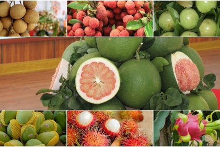 Ngành rau quả đón tín hiệu tích cực cho xuất khẩu 2023