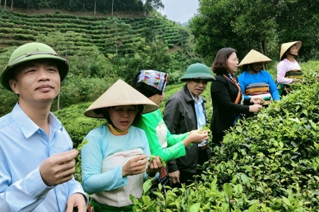 Xã Bình Sơn - huyện Triệu Sơn - Thanh Hóa: Thoát nghèo từ sản phẩm OCOP