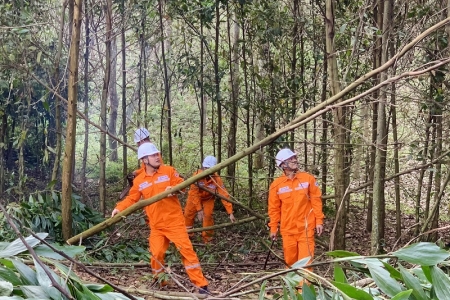 Thanh Hóa: Chung tay bảo đảm hành lang an toàn lưới điện