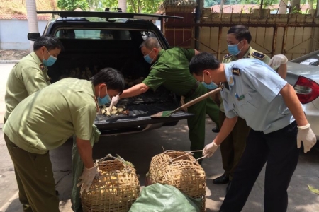 Lào Cai tăng cường kiểm tra, ngăn chặn việc xuất, nhập lậu gia cầm, sản phẩm gia cầm qua biên giới vào địa bàn