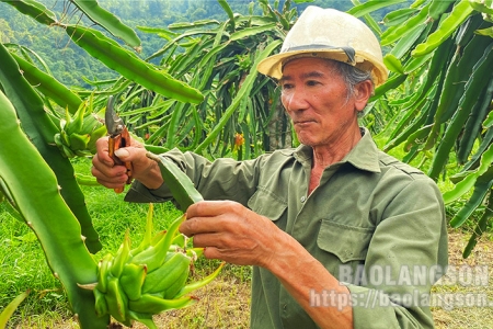 Lạng Sơn: Chủ động phát triển sản phẩm OCOP, thực hiện tiêu chí xã nông thôn mới nâng cao