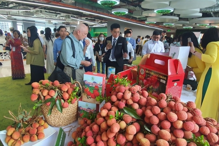 Tăng cường liên kết, đa dạng kênh phân phối nông sản