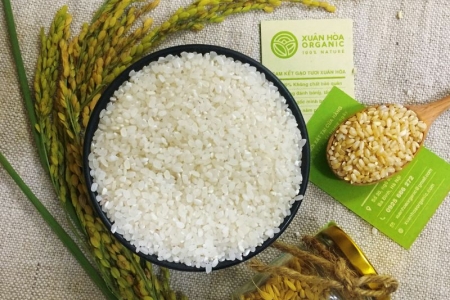 Giá lúa gạo hôm nay 6/6: Giá gạo tăng 50 đồng/kg