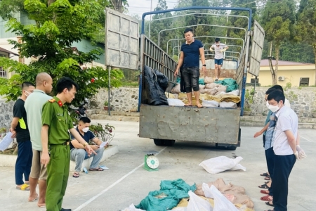 Lào Cai: Thu giữ hơn 3.200 kg thực phẩm bẩn không rõ nguồn gốc