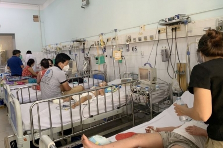 TP. Hồ Chí Minh: Nguy cơ bùng phát dịch sốt xuất huyết và tay chân miệng