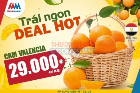 Mega Market Hồng Bàng - Hải Phòng và chương trình khuyến mại tròn 7 năm tuổi