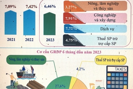 Bình Định: GRDP tăng 6,46% và xếp thứ 27/63 tỉnh, thành phố