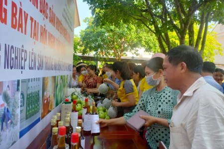 Nghệ An: “Bén duyên” sàn thương mại điện tử