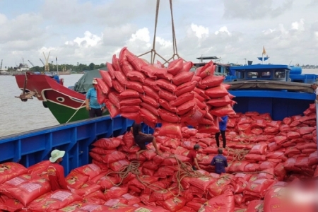 Xuất khẩu gạo đang "sáng cửa" - doanh nghiệp vẫn gặp khó trong vay vốn