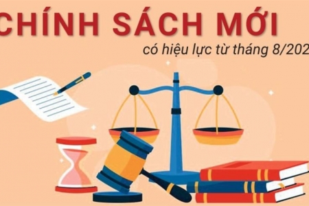 Những chính sách mới có hiệu lực từ tháng 8/2023