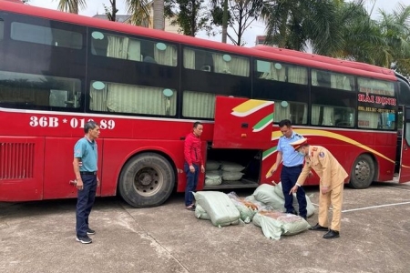 Tăng cường kiểm tra, xử lý nghiêm các vi phạm kinh doanh động vật, lợn không qua kiểm dịch, không rõ nguồn gốc trên thị trường