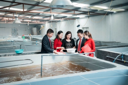 Agribank cùng ngành ngân hàng tăng cường sức hấp thụ vốn cho doanh nghiệp