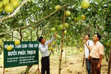 Hà Tĩnh: Tập huấn chuyển đổi số cho cán bộ, doanh nghiệp trên địa bàn