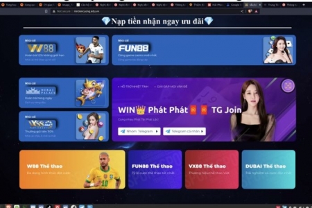 Trung tâm internet Việt Nam tạm dừng hơn 50 tên miền dưới .edu.vn