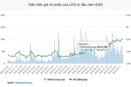 Chủ tịch HĐQT LDG bán “chui” hơn 2,6 triệu cổ phiếu, HOSE buộc huỷ giao dịch