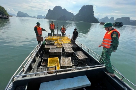 Bộ đội Biên phòng tỉnh Quảng Ninh bắt giữ vụ buôn lậu số lượng lớn gà, vịt giống và trứng