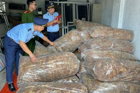 Cao Bằng: Thu giữ 550 kg nguyên liệu thuốc lá không rõ nguồn gốc xuất xứ