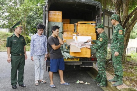 Biên Phòng Quảng Ninh: Thu giữ 1,6 tấn lòng lợn đông lạnh không rõ nguồn gốc