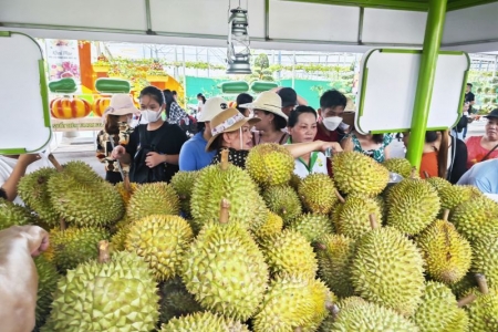 "Đánh bật" thanh long, sầu riêng sẽ là mặt hàng thu về hàng tỷ đô