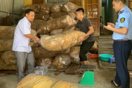 Lực lượng QLTT Cao Bằng thu giữ 800 kg nguyên liệu thuốc lá không rõ nguồn gốc xuất xứ